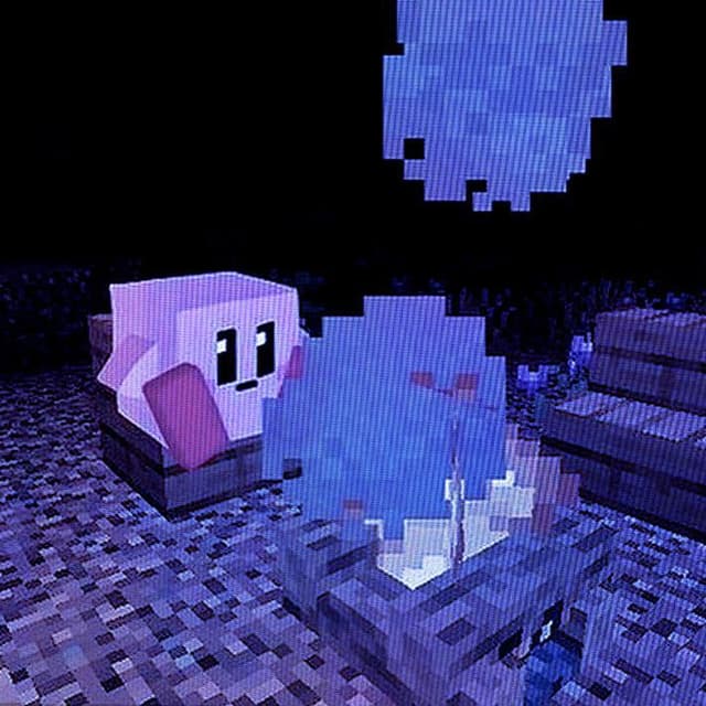 Picture of the author